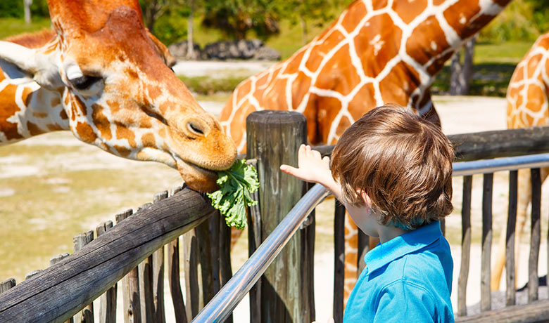 DEN ČSOB V ZOO DVŮR KRÁLOVÉ