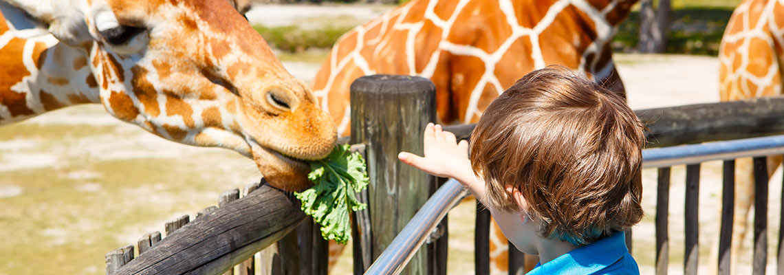 DEN ČSOB V ZOO DVŮR KRÁLOVÉ