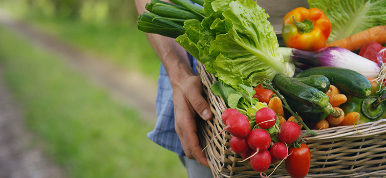 Bio, fair trade a farmářské produkty se tlačí do českých ledniček a spíží