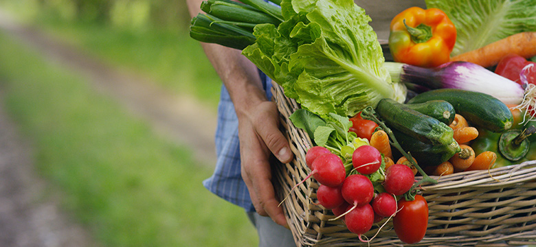 Bio, fair trade a farmářské produkty se tlačí do českých ledniček a spíží